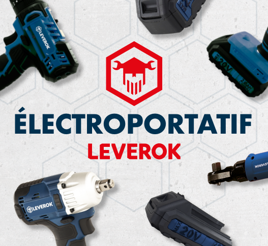 electroportatif-leverok