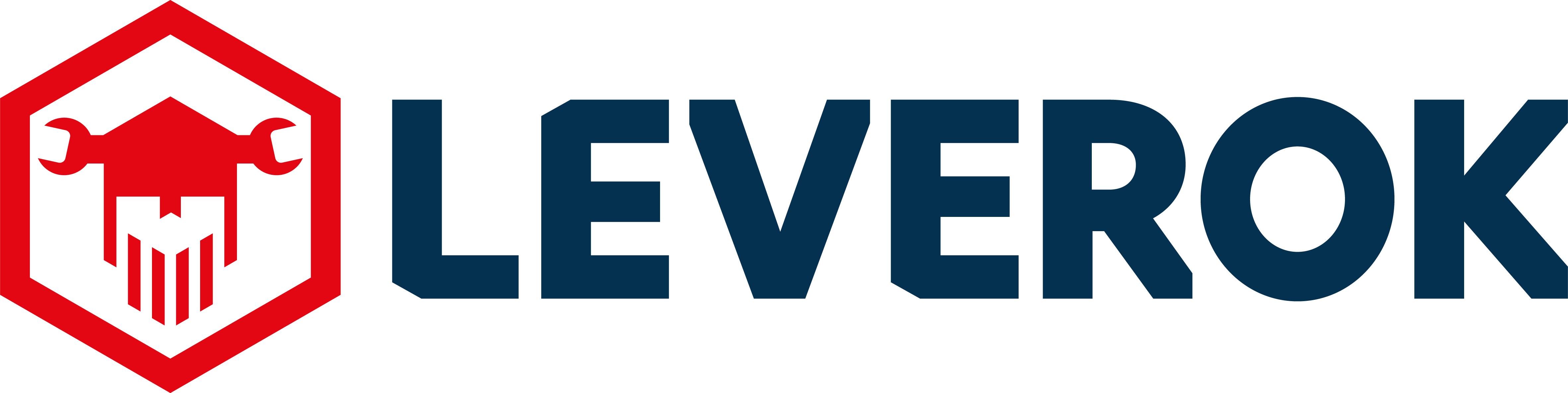 logo-leverok